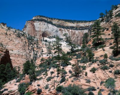 Zion National Park, Utah by Unbekannt Unbekannt